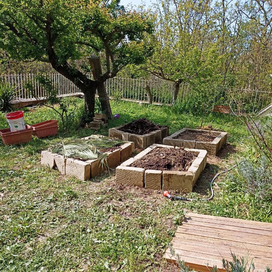 Ripe'S Forest Garden Guest House Roma Exterior foto