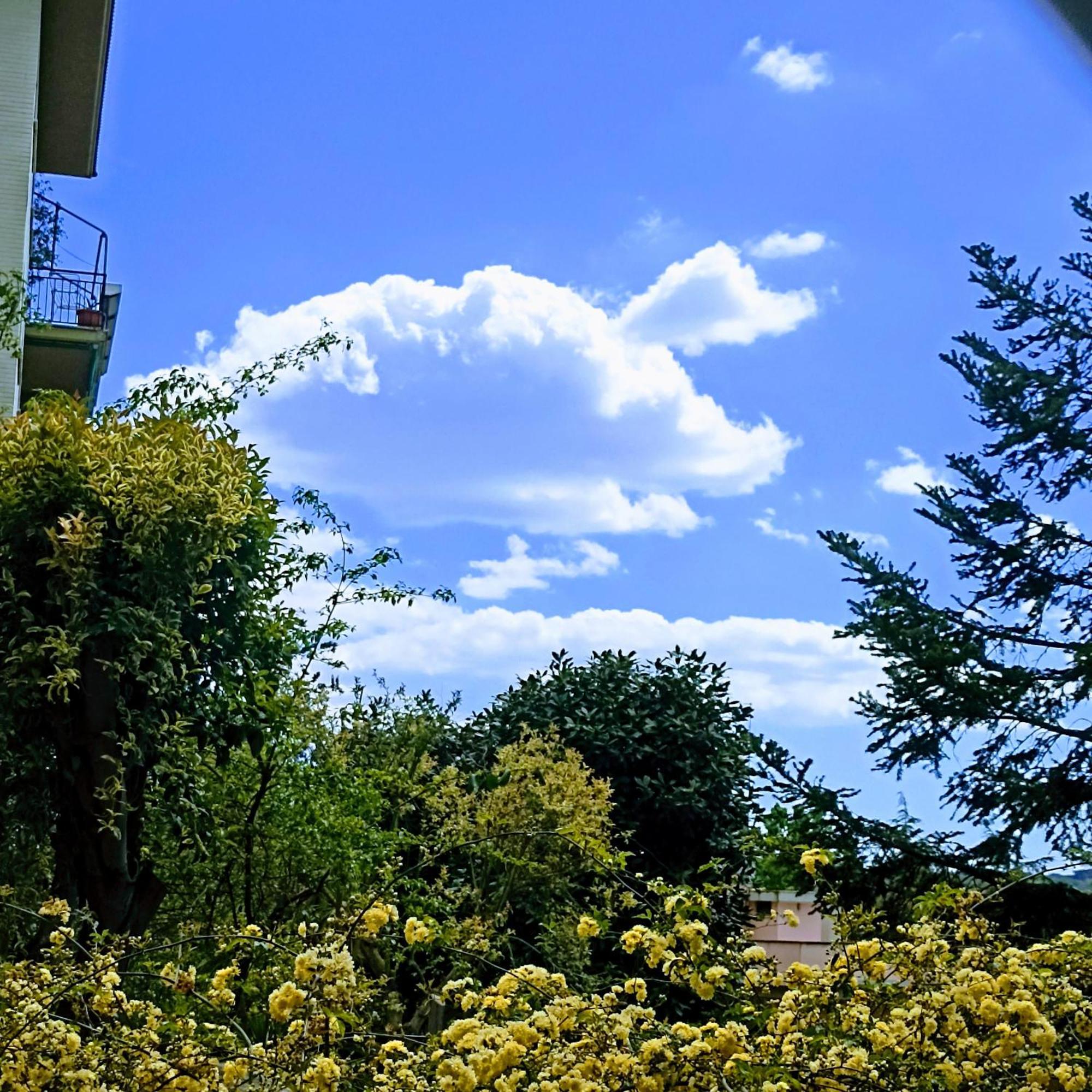 Ripe'S Forest Garden Guest House Roma Exterior foto